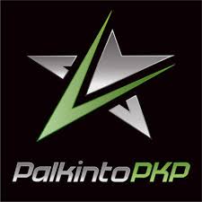 PKP-Trading logo